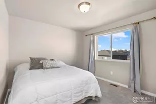 3762 Buckthorn St, Wellington, CO 80549 - Photo 28