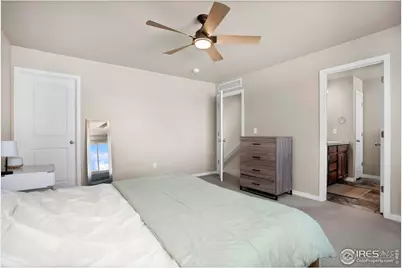 3762 Buckthorn St, Wellington, CO 80549 - Photo 22