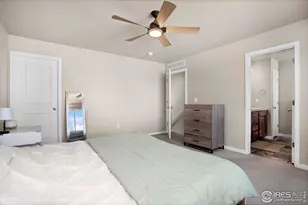 3762 Buckthorn St, Wellington, CO 80549 - Photo 22