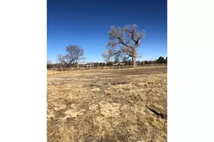 932 Langdale Dr, Fort Collins, CO 80526 - Photo 1