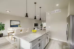 1003 Schlagel St, Fort Collins, CO 80524 - Photo 8