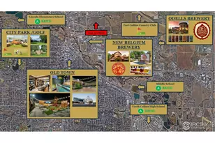 1003 Schlagel St, Fort Collins, CO 80524 - Photo 28