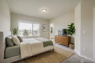 1003 Schlagel St, Fort Collins, CO 80524 - Photo 4