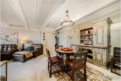 415 S Howes St #1001, Fort Collins, CO 80521 - Photo 4