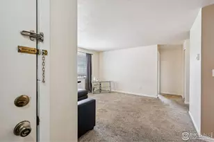 132 W 47th Pl, Loveland, CO 80538 - Photo 6