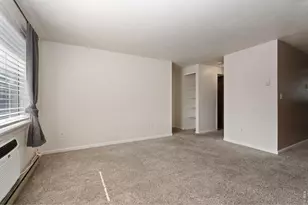 132 W 47th Pl, Loveland, CO 80538 - Photo 10