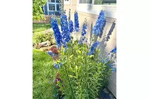 7518 Swadley St, Arvada, CO 80005 - Photo 44