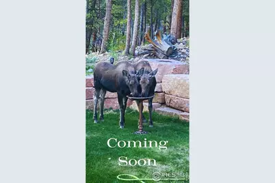 1447 Coyote Cir, Black Hawk, CO 80422 - Photo 1