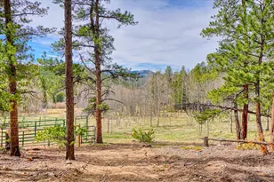 1447 Coyote Cir, Black Hawk, CO 80422 - Photo 42