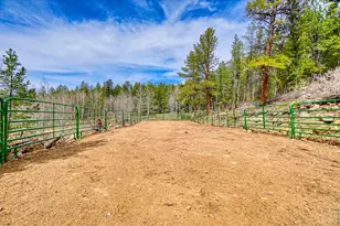 1447 Coyote Cir, Black Hawk, CO 80422 - Photo 40