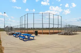 967 Cascade Falls St, Severance, CO 80550 - Photo 28