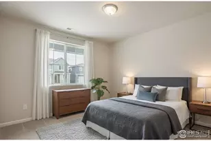 648 Noola St, Windsor, CO 80550 - Photo 16