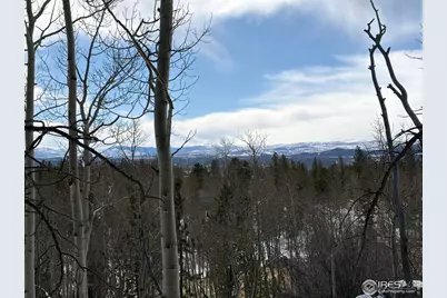 171 Spokane Ct, Red Feather Lakes, CO 80545 - Photo 40