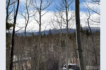 171 Spokane Ct, Red Feather Lakes, CO 80545 - Photo 22