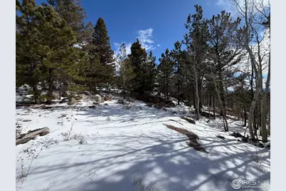 171 Spokane Ct, Red Feather Lakes, CO 80545 - Photo 20