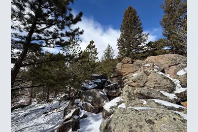 171 Spokane Ct, Red Feather Lakes, CO 80545 - Photo 8