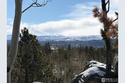 171 Spokane Ct, Red Feather Lakes, CO 80545 - Photo 10