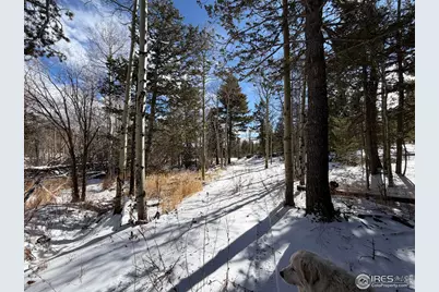 171 Spokane Ct, Red Feather Lakes, CO 80545 - Photo 12