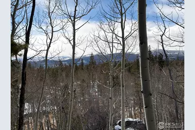 171 Spokane Ct, Red Feather Lakes, CO 80545 - Photo 42