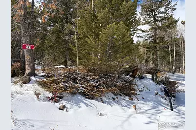 171 Spokane Ct, Red Feather Lakes, CO 80545 - Photo 38