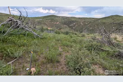 1360 Meadow Mountain Dr, Livermore, CO 80536 - Photo 18