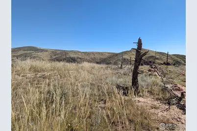 1360 Meadow Mountain Dr, Livermore, CO 80536 - Photo 8