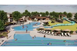 1790 Drumming Dr, Windsor, CO 80550 - Photo 4