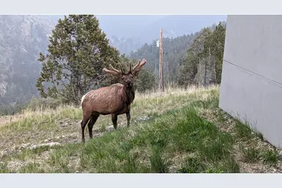 1068 Elkridge Dr, Glen Haven, CO 80532 - Photo 46