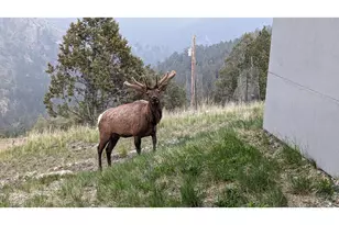 1068 Elkridge Dr, Glen Haven, CO 80532 - Photo 46