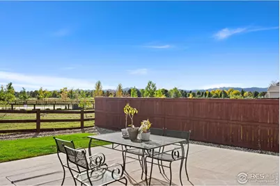 1813 Garden Flourish Ct, Windsor, CO 80550 - Photo 4