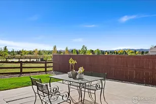 1813 Garden Flourish Ct, Windsor, CO 80550 - Photo 4