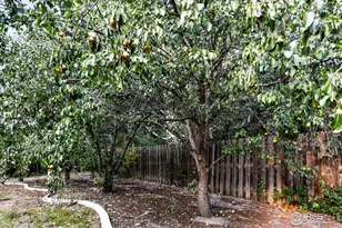 2020 Diamond Dr, Longmont, CO 80504 - Photo 38