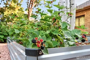 2020 Diamond Dr, Longmont, CO 80504 - Photo 42