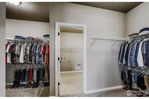 662 Noola St, Windsor, CO 80550 - Photo 14