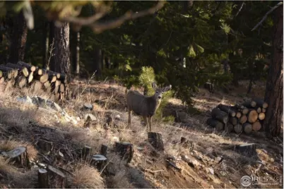 1000 Alaska Rd, Boulder, CO 80302 - Photo 50