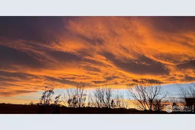 1412 Westin Dr, Erie, CO 80516 - Photo 42