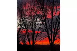 1412 Westin Dr, Erie, CO 80516 - Photo 6