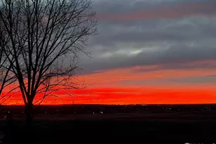 1412 Westin Dr, Erie, CO 80516 - Photo 4