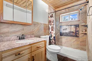 88 Munsee Ct, Red Feather Lakes, CO 80545 - Photo 18