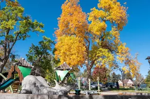 1816 22nd St, Greeley, CO 80631 - Photo 18