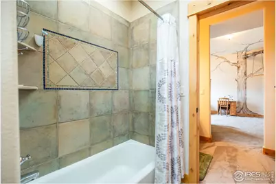 1933 Dominica Ct, Windsor, CO 80550 - Photo 34