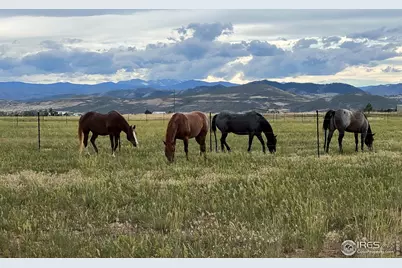 612 W County Road 74, Wellington, CO 80549 - Photo 50