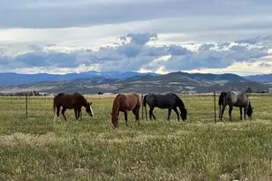 612 W Co Rd 74, Wellington, CO 80549 - Photo 50