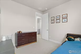 1322 Alyssa Dr, Timnath, CO 80547 - Photo 30