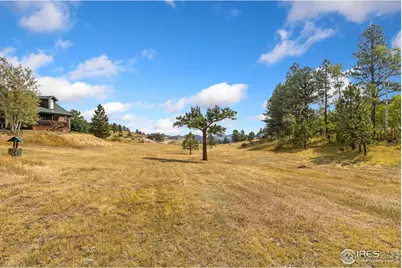 98 Deadhorse Mountain Ct, Livermore, CO 80536 - Photo 8