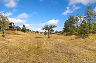 98 Deadhorse Mountain Ct, Livermore, CO 80536 - Photo 8
