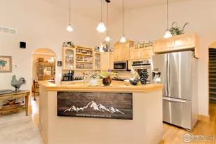 98 Deadhorse Mountain Ct, Livermore, CO 80536 - Photo 20