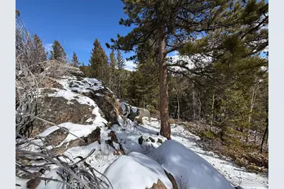 115 Wenro Ct, Red Feather Lakes, CO 80545 - Photo 42