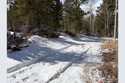 115 Wenro Ct, Red Feather Lakes, CO 80545 - Photo 32