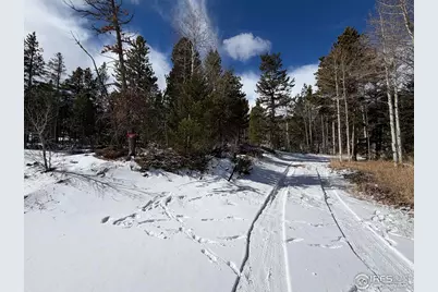 115 Wenro Ct, Red Feather Lakes, CO 80545 - Photo 34